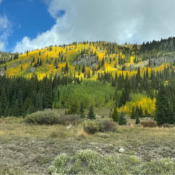 Meet your Posher, Nina - Picture 1 of 1